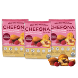 Organic Gluten Free Mini Muffins with Filling - Raspberry